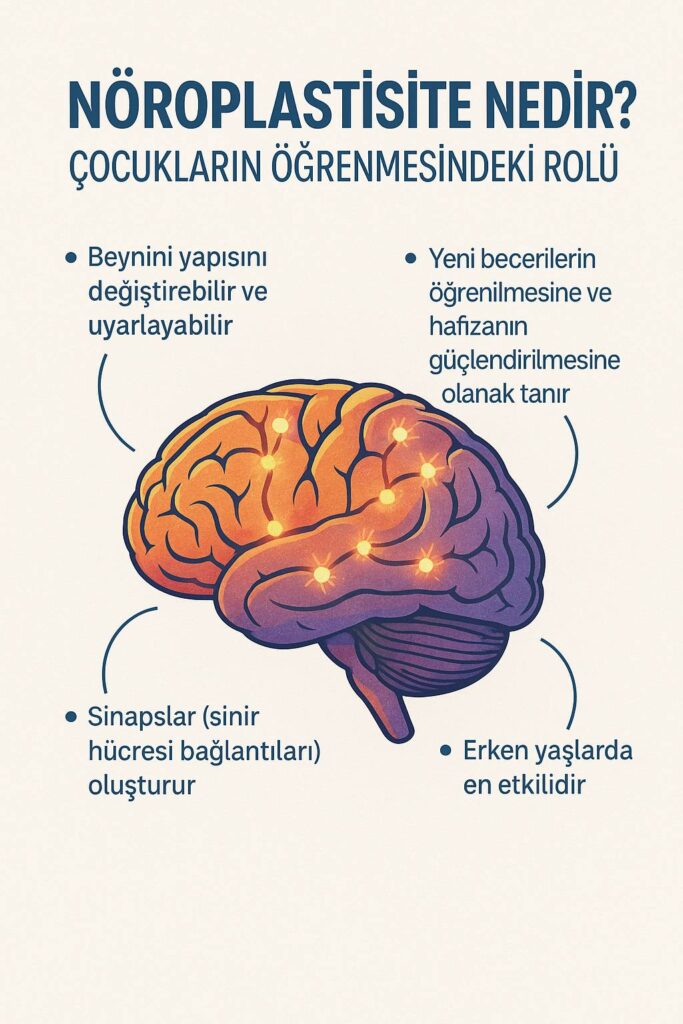 Nöroplastite Nedir